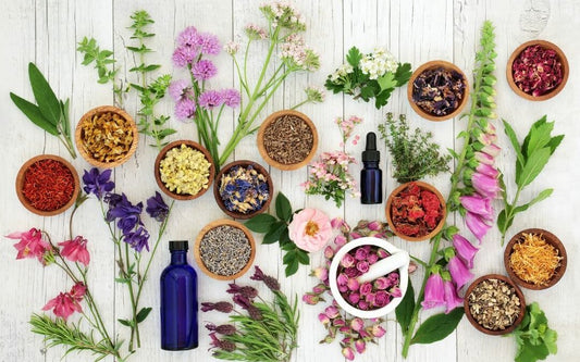 Adaptogenic Herbs: Natural Allies for Stress and Wellness