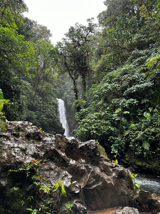 You Are Mostly Water. Act Like It.