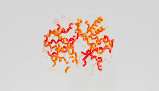 The "Miracle Enzyme": A Deep Dive into Serratiopeptidase