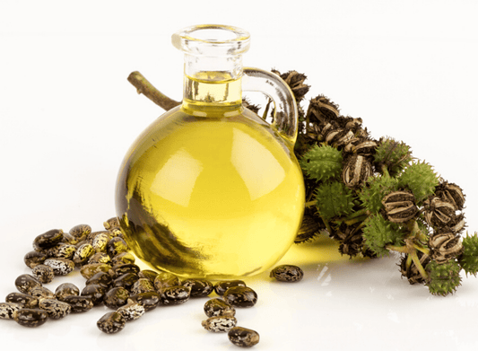 The Wonders of Castor Oil: Benefits, Uses, and How to Incorporate It into Your Wellness Routine