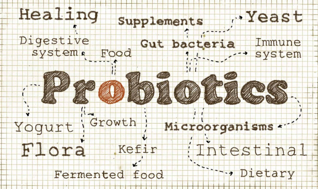 Probiotics and Gut Health: The Key to a Balanced Digestive System