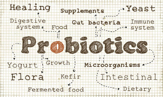 Probiotics and Gut Health: The Key to a Balanced Digestive System