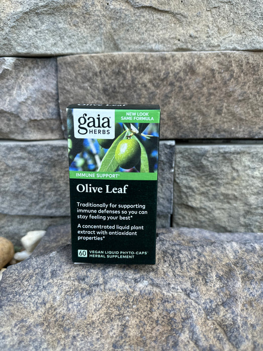 Olive Leaf | Gaia Herbs